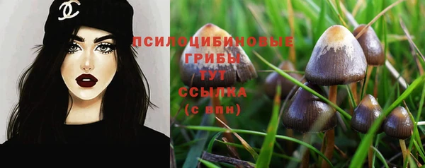 mdpv Нягань
