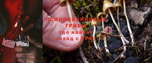 mdpv Нягань